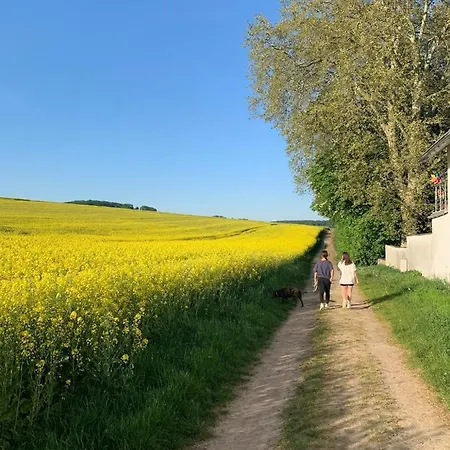 Ferienwohnung Am Entenplatz Nr3 Eltville am Rhein